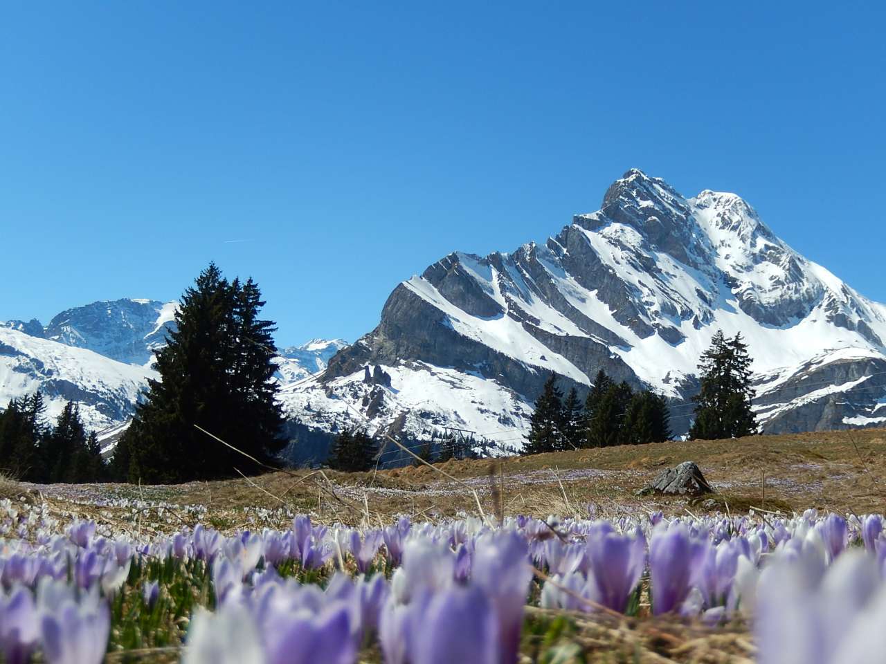 Braunwald im Glarnerland